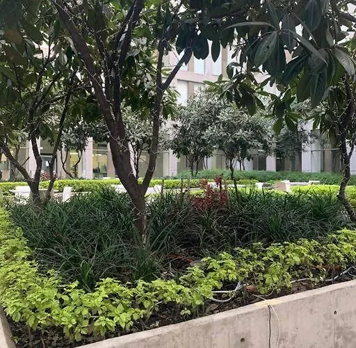Acogedor Y Hermoso Depto, En El C.historico Cdmx * Mexico City